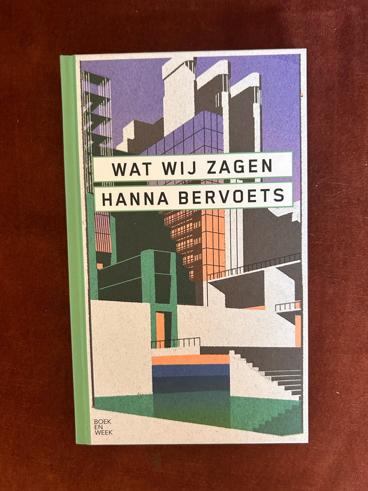 Wat wij zagen - Hanna Bervoets (leesboek), Boeken, Ophalen of Verzenden, Nieuw