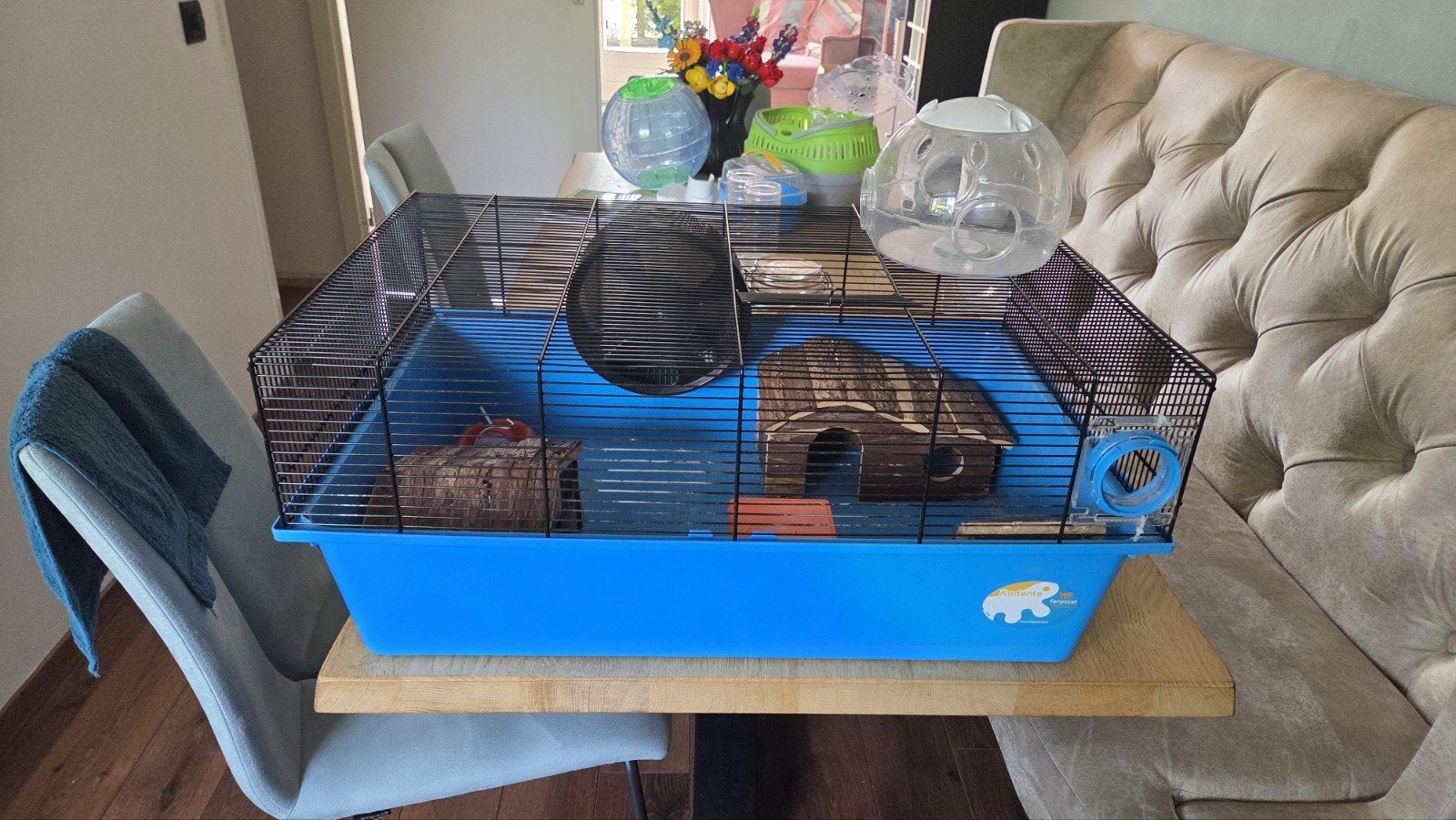 Hamster kooi met toebehoren, Kooi, Minder dan 75 cm, Hamster, Ophalen