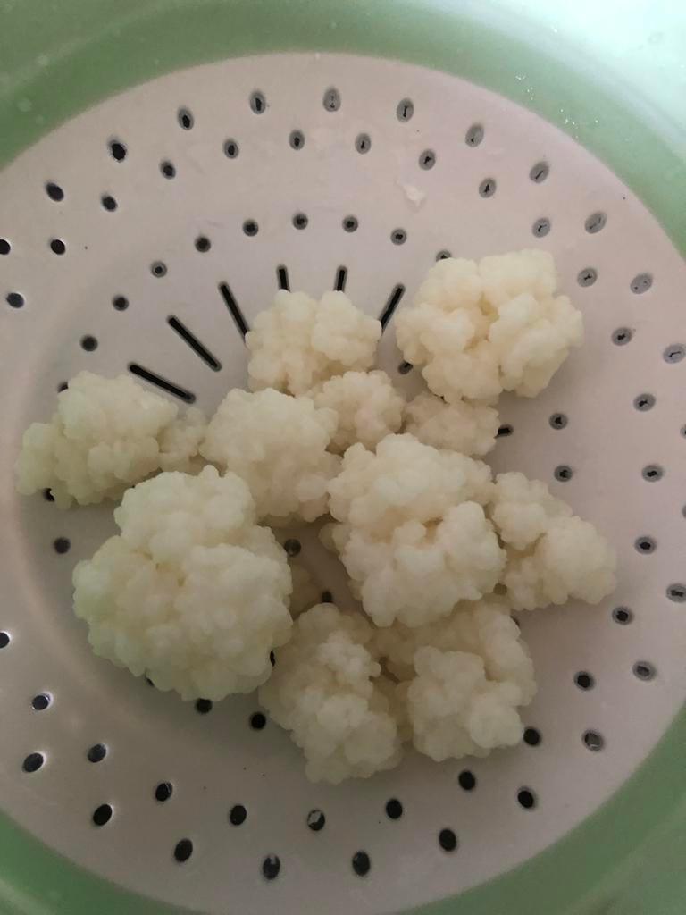 Melk kefir, Ophalen of Verzenden