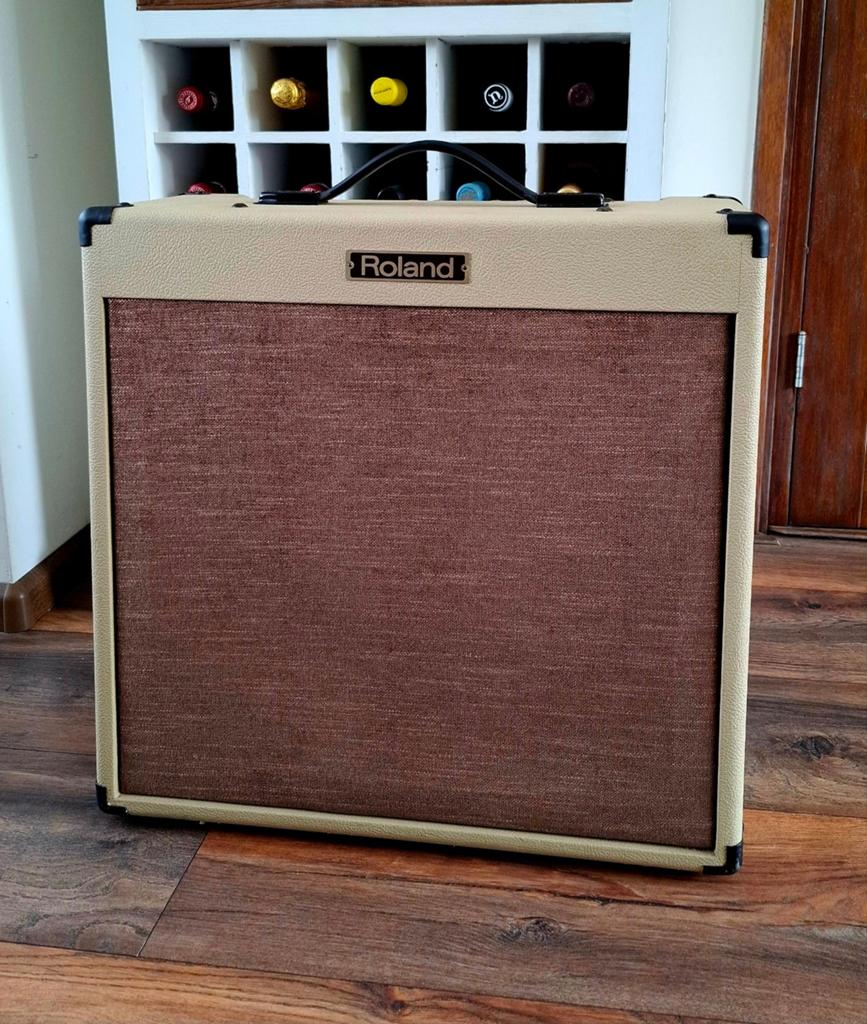 Roland Blues Cube BC-30 2x10" gitaarcombo, Muziek en Instrumenten, Versterkers | Bas en Gitaar, Ophalen, Gebruikt, Gitaar, Minder dan 50 watt