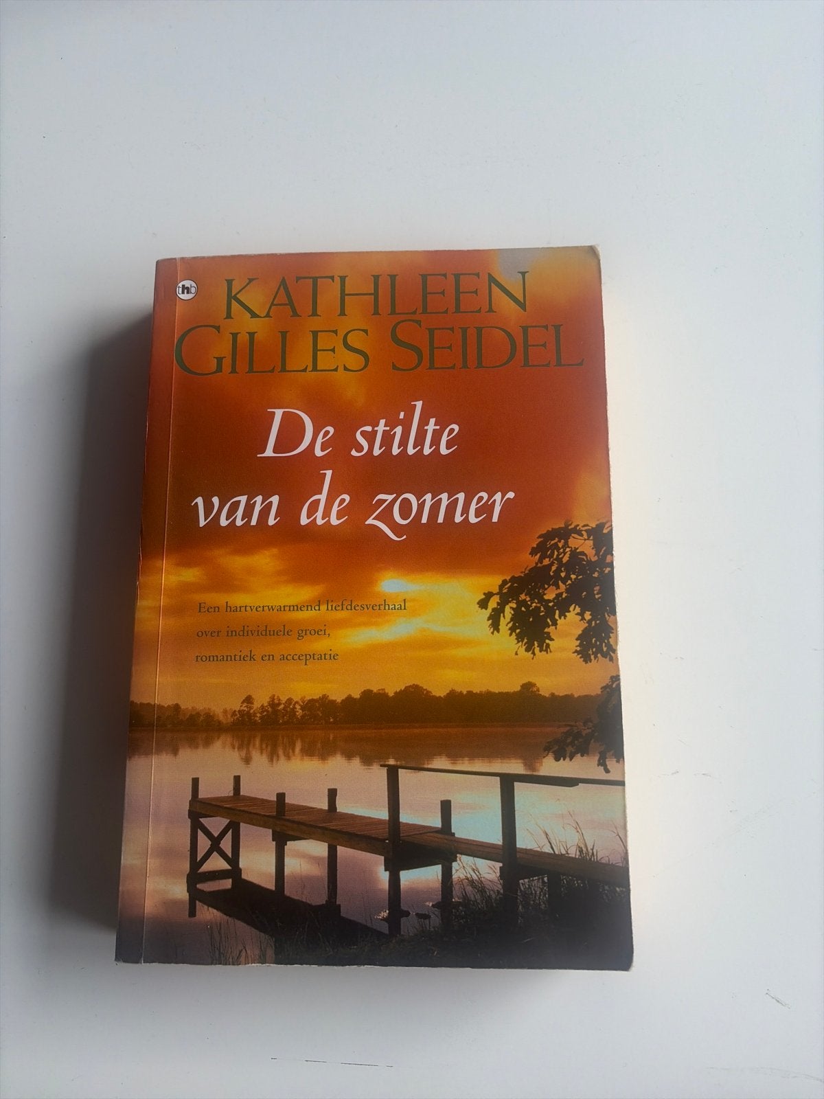 De stilte van de zomer - Kathleen Gilles Seidel, Ophalen of Verzenden, Gelezen, Nederland