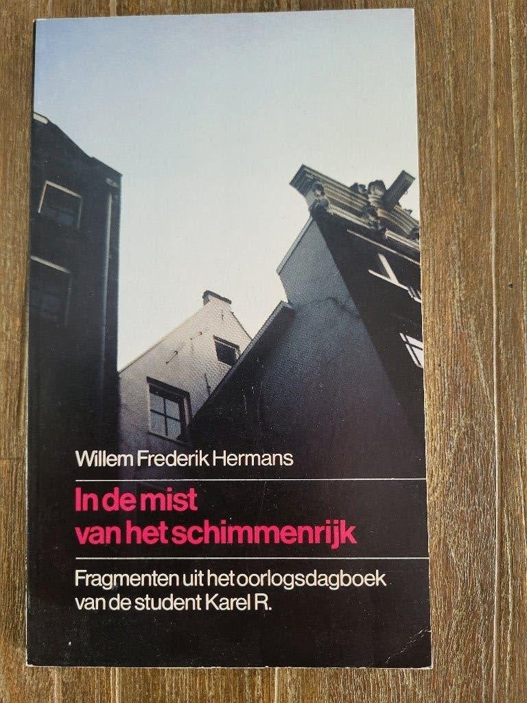In de mist van het schimmenrijk - Willem Frederik Hermans, Boeken, Boekenweekgeschenken, Ophalen of Verzenden, Zo goed als nieuw