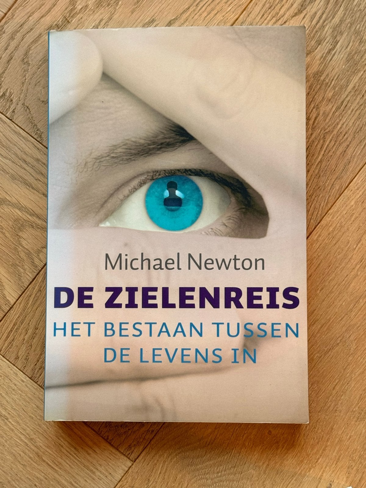 De Zielenreis - Michael Newton (Zo goed als nieuw), Ophalen of Verzenden, Zo goed als nieuw, Ziel of Sterfelijkheid, Verhaal of Roman