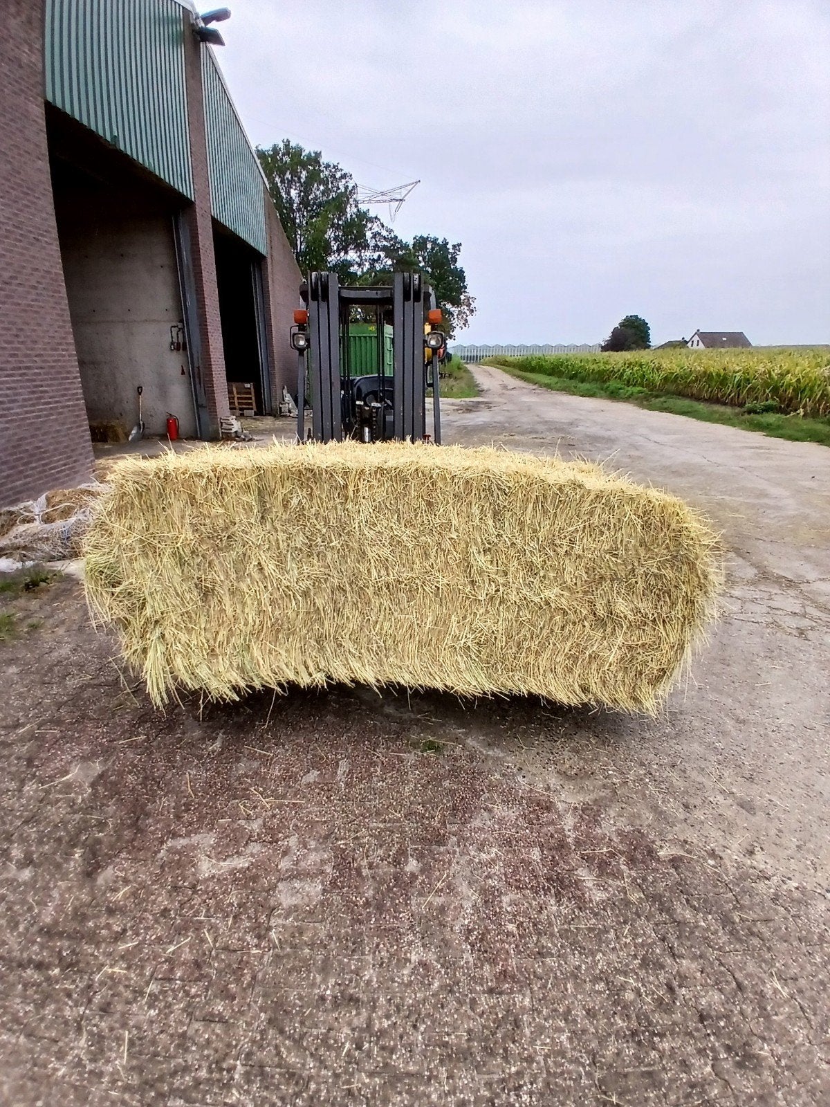 grote pakken eifel hooi vanaf 220 per ton, Ophalen, Vee