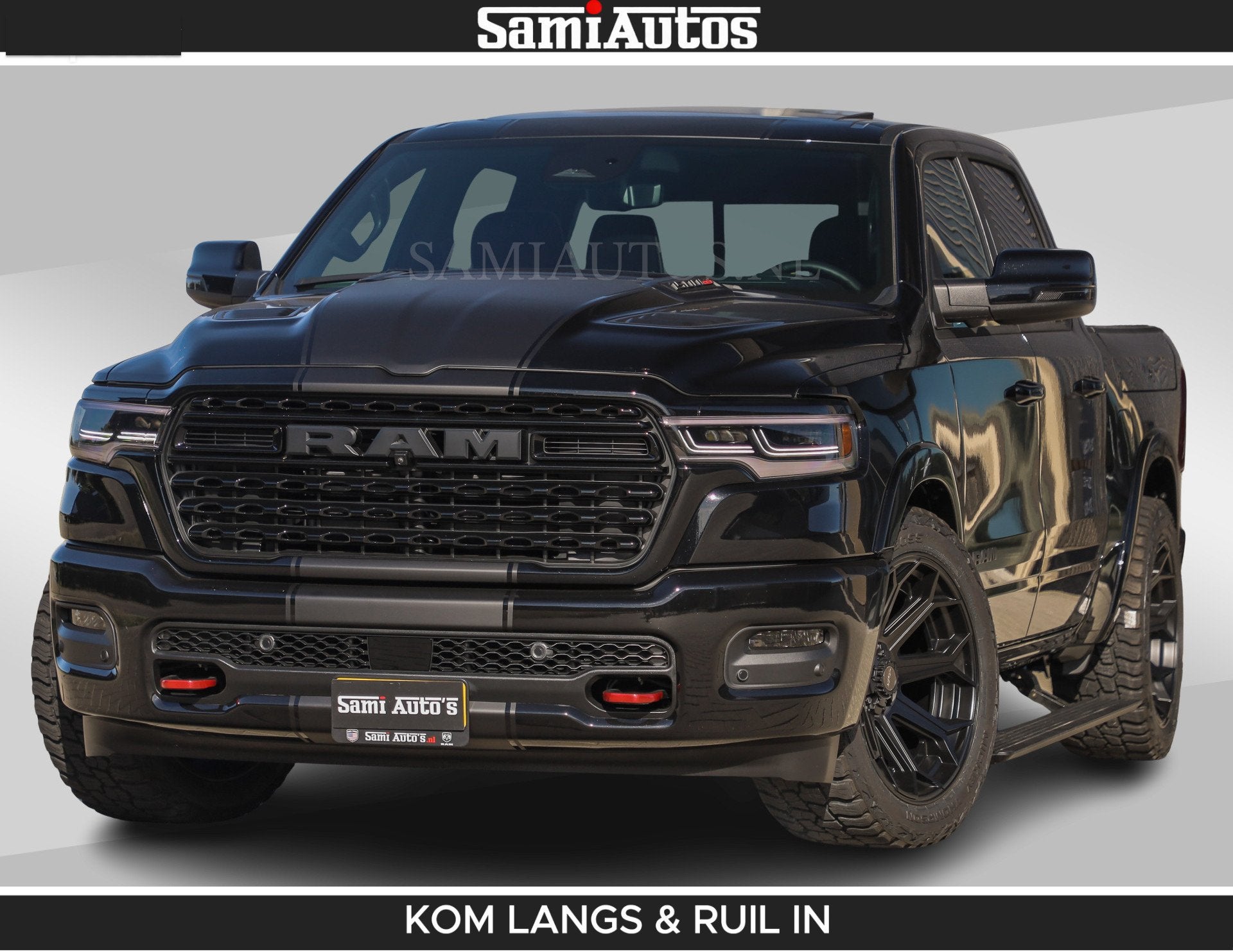 Dodge Overige Modellen
