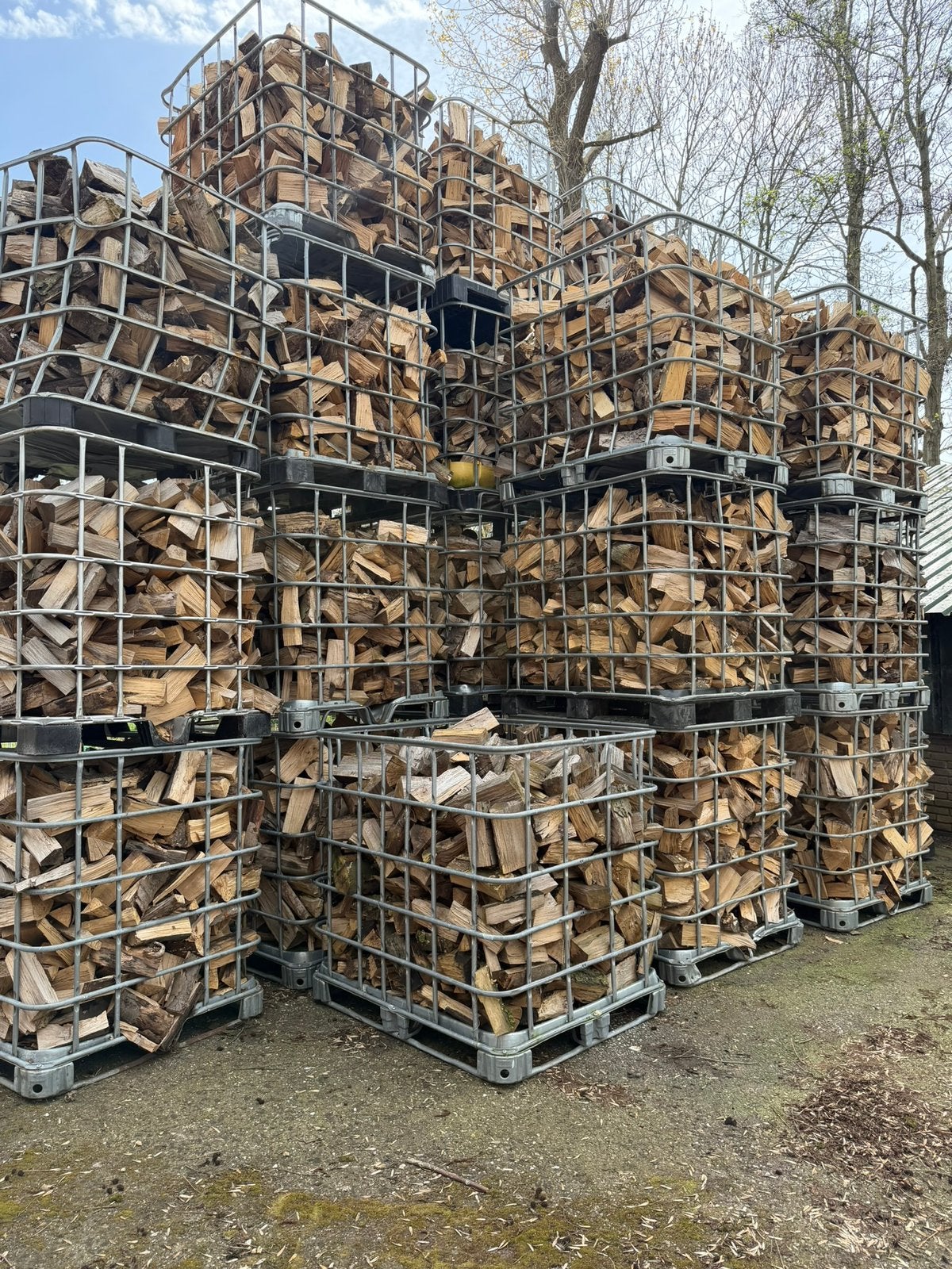 B kwaliteit haardhout 6kuub €600 GRATIS BEZORGD tot 50km, 6 m³ of meer, Ophalen of Verzenden, Blokken