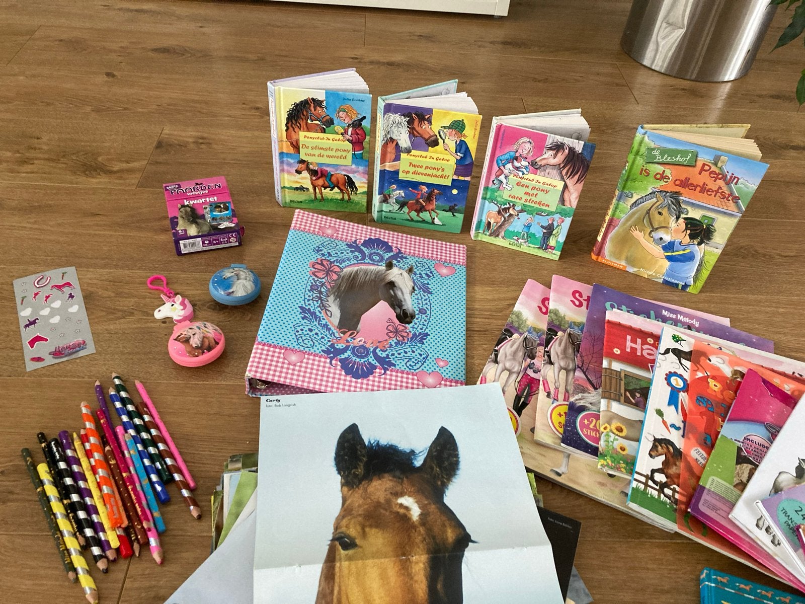 Voor de paardenfan: allerlei paardenspullen!, Ophalen