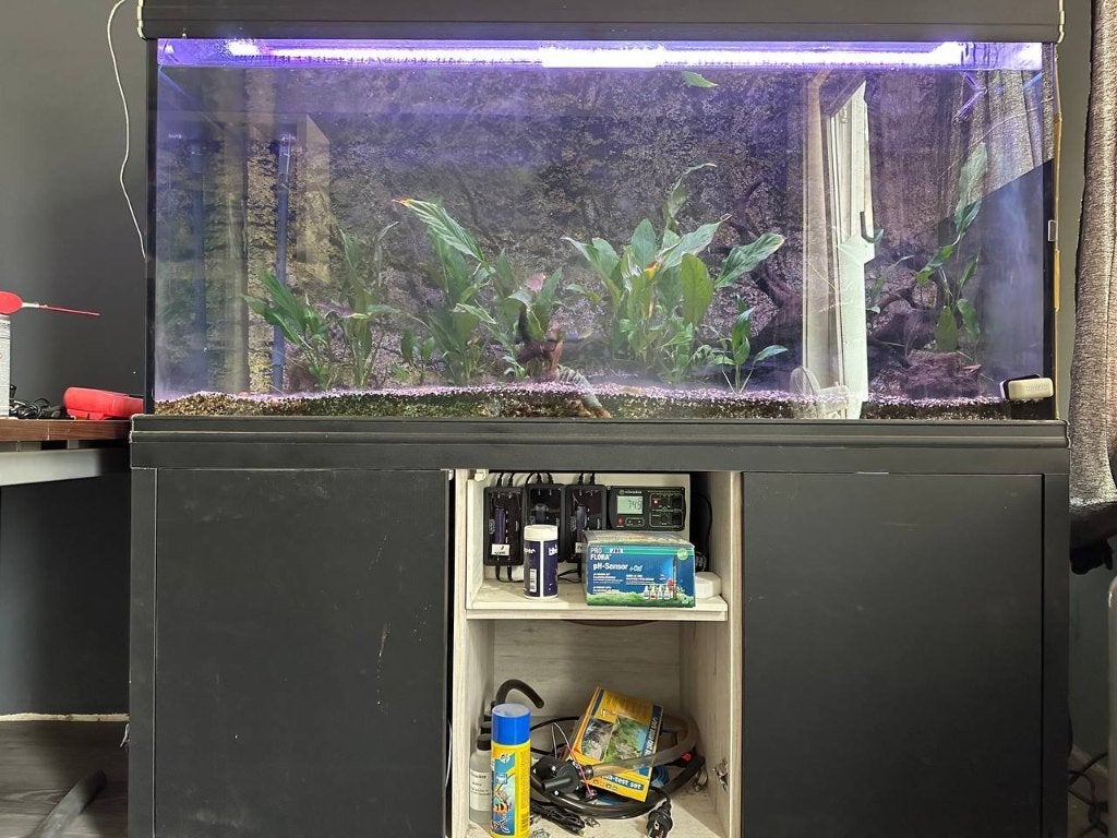 aquarium, Ophalen, Inclusief deksel, Gebruikt, Overige typen
