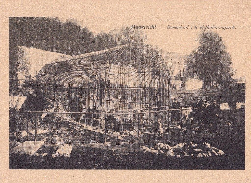Maastricht - Berenkuil in het Wilhelminapark, Verzenden, Ongelopen, Limburg