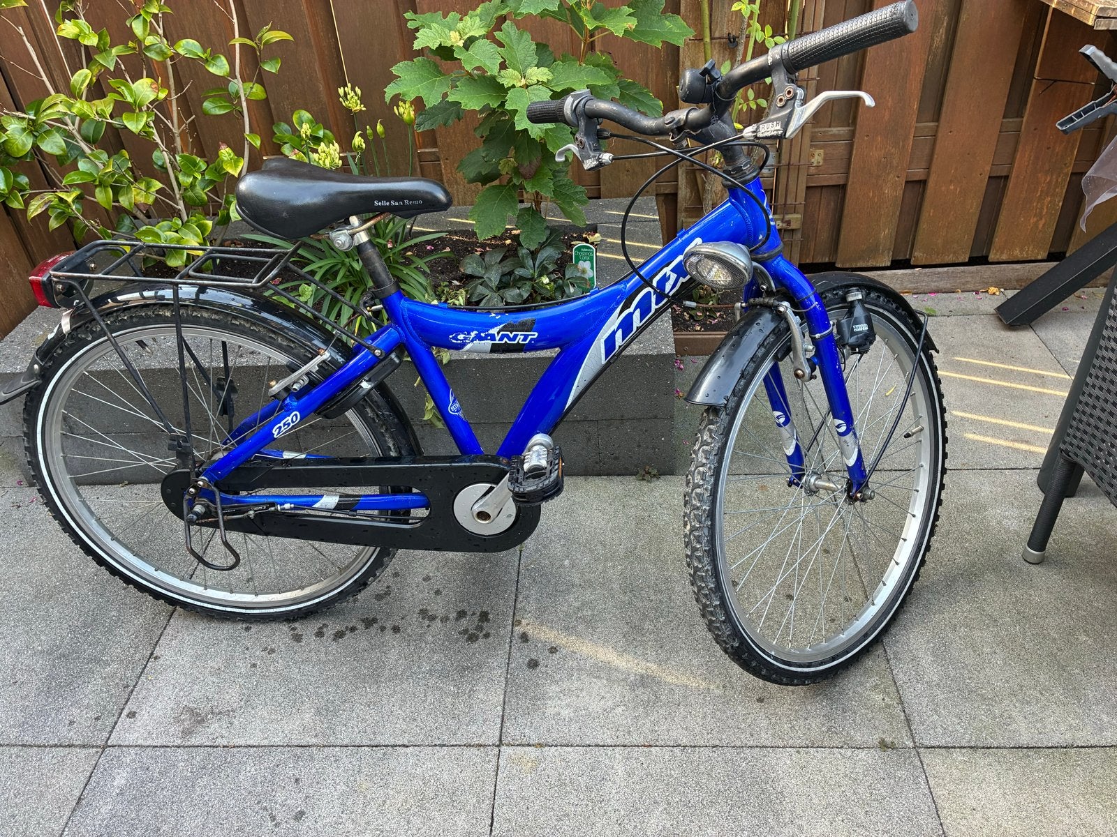 Giant MTX 250 - Opknapper. Crossen maar!, Ophalen, Gebruikt, Versnellingen
