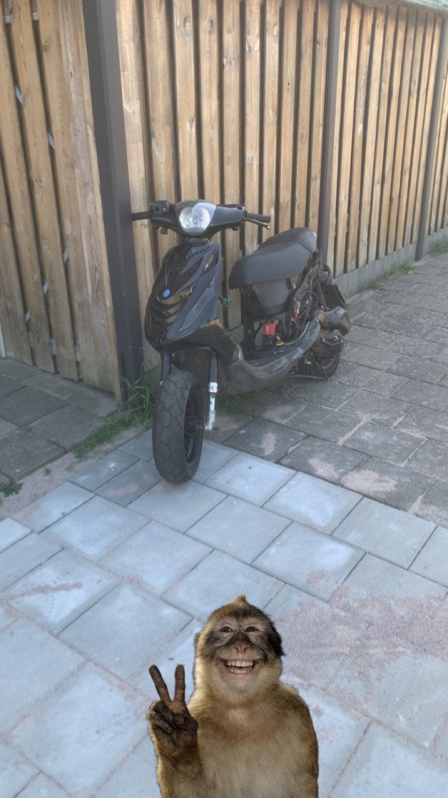 Piaggio Zip 70cc met UK voorvork - Loopt goed!, Ophalen of Verzenden, Gebruikt, Piaggio