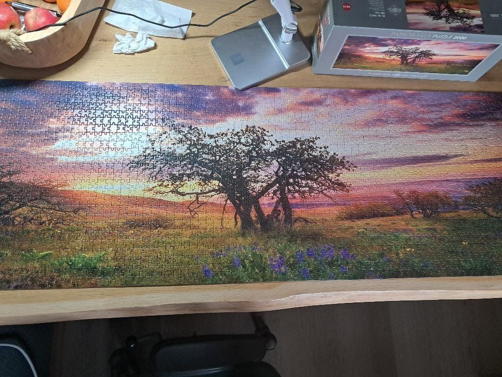 legpuzzel, Ophalen of Verzenden, Meer dan 1500 stukjes, Zo goed als nieuw, Legpuzzel