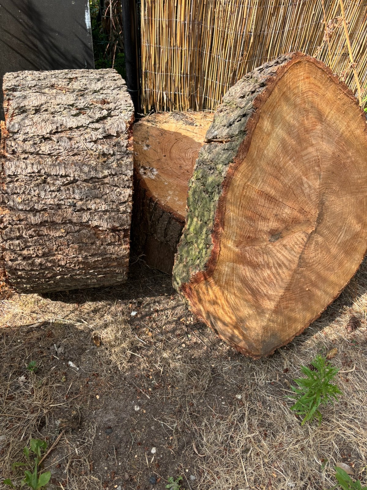 Boomstammetjes, Tuin en Terras, Haardhout, Minder dan 3 m³, Ophalen