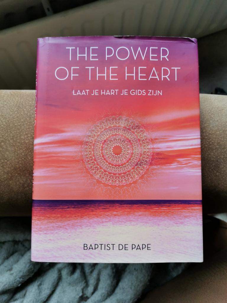 Baptist de Pape - The power of the heart, Achtergrond en Informatie, Spiritualiteit algemeen, Ophalen of Verzenden, Zo goed als nieuw