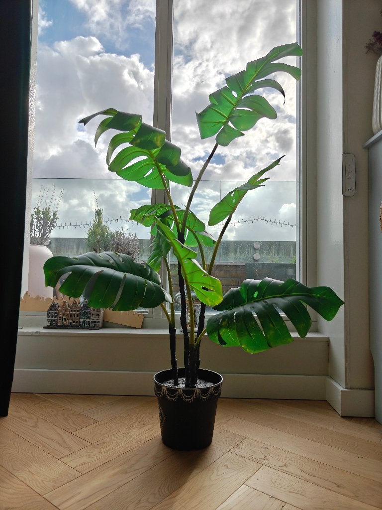 Monstera 105cm faux, Ophalen, Overige soorten, Halfschaduw, In pot