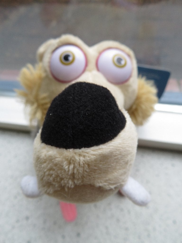 Eekhoorn Big Headz van Ice Age merk TCC Global 2013, Ophalen of Verzenden, Nieuw, Overige typen, Middelgroot (20 tot 80 cm)