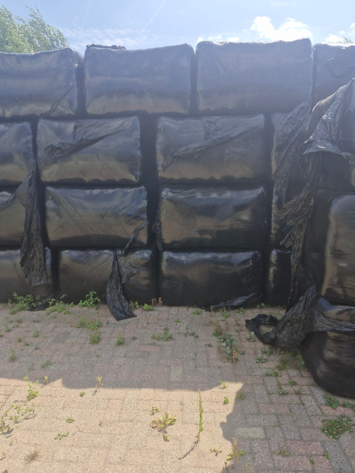 Grote balen schapenhooi te koop, Ophalen