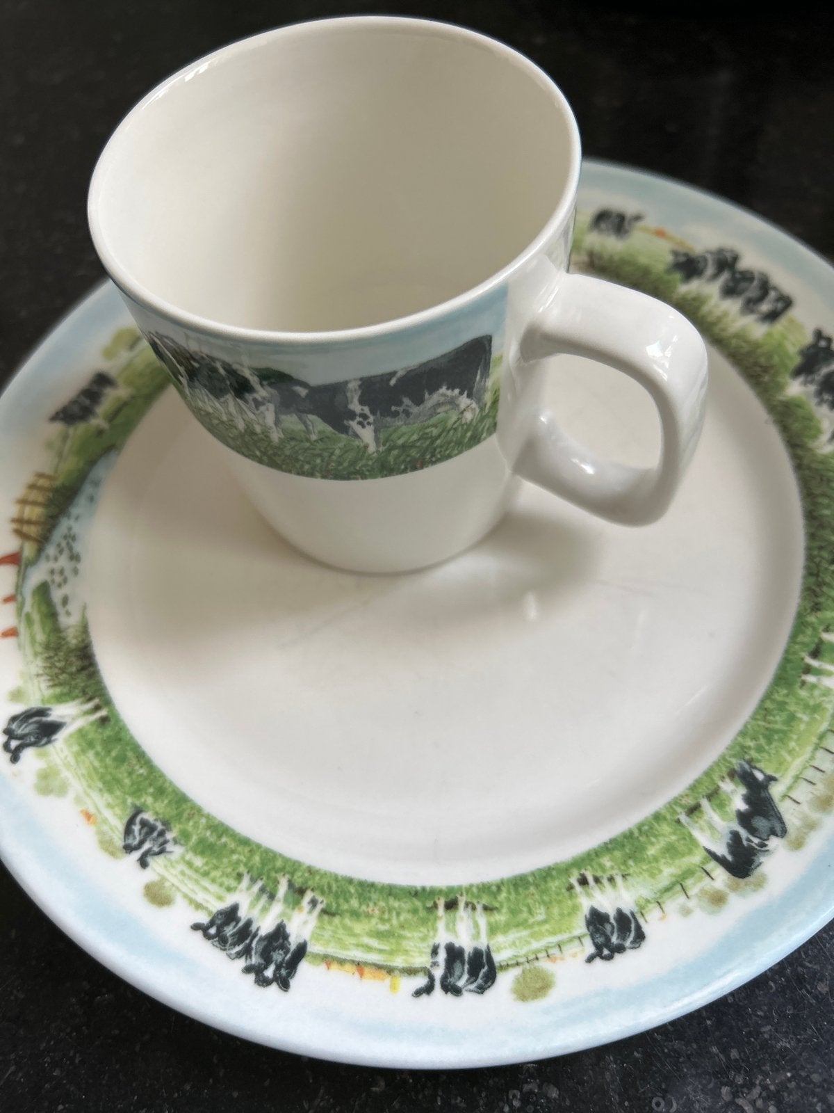 Koeien servies van Wiebe van der Zee, Gebruikt, Keramiek, Overige typen, Ophalen of Verzenden