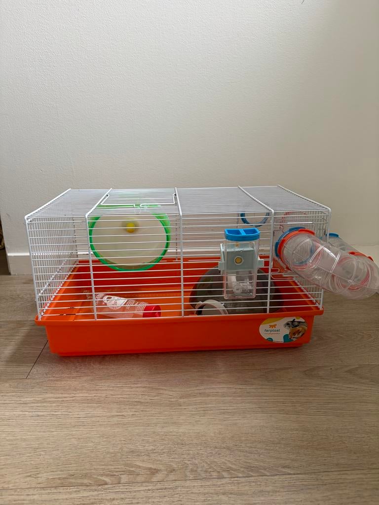 Hamsterkooi met toebehoren, Dieren en Toebehoren, Kooi, Minder dan 75 cm, Zo goed als nieuw, Ophalen