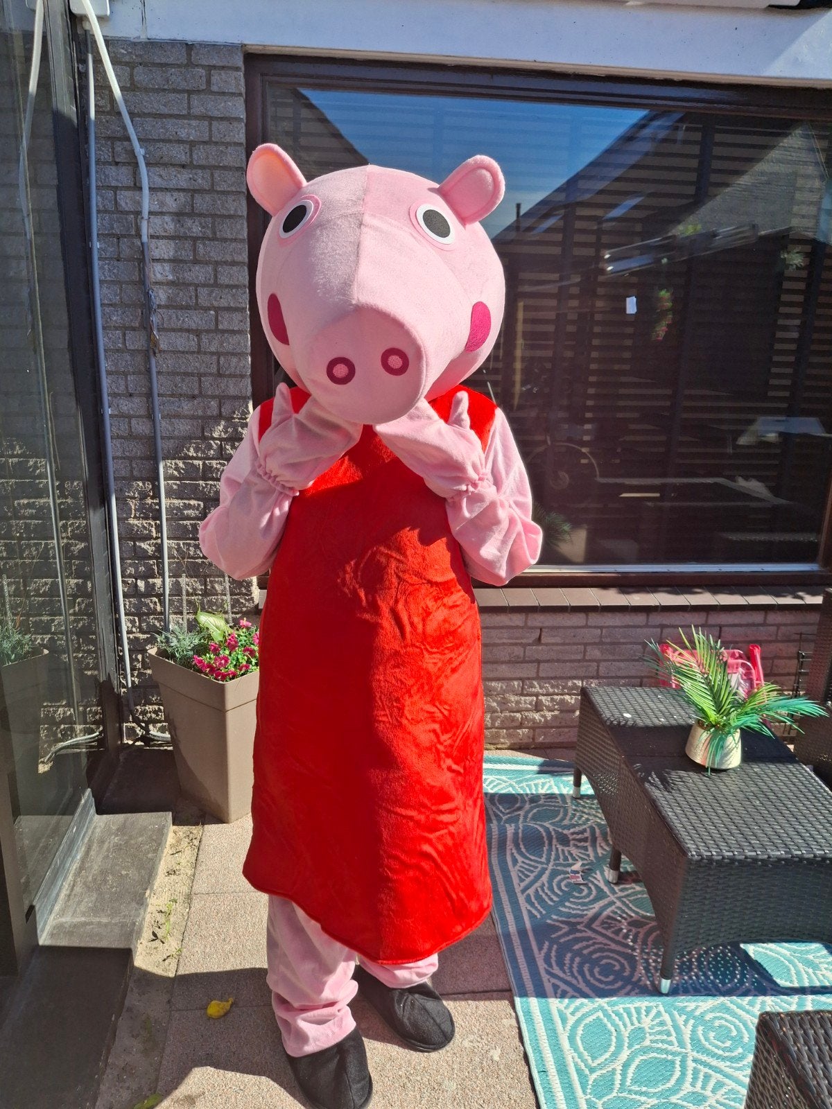 Peppa pig mascotte te huur, Hobby en Vrije tijd, Ophalen, Zo goed als nieuw, Overige