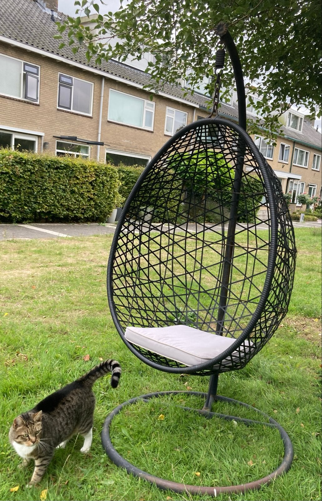Zwarte Xenos hangstoel met standaard, Ophalen, Gebruikt, Wicker