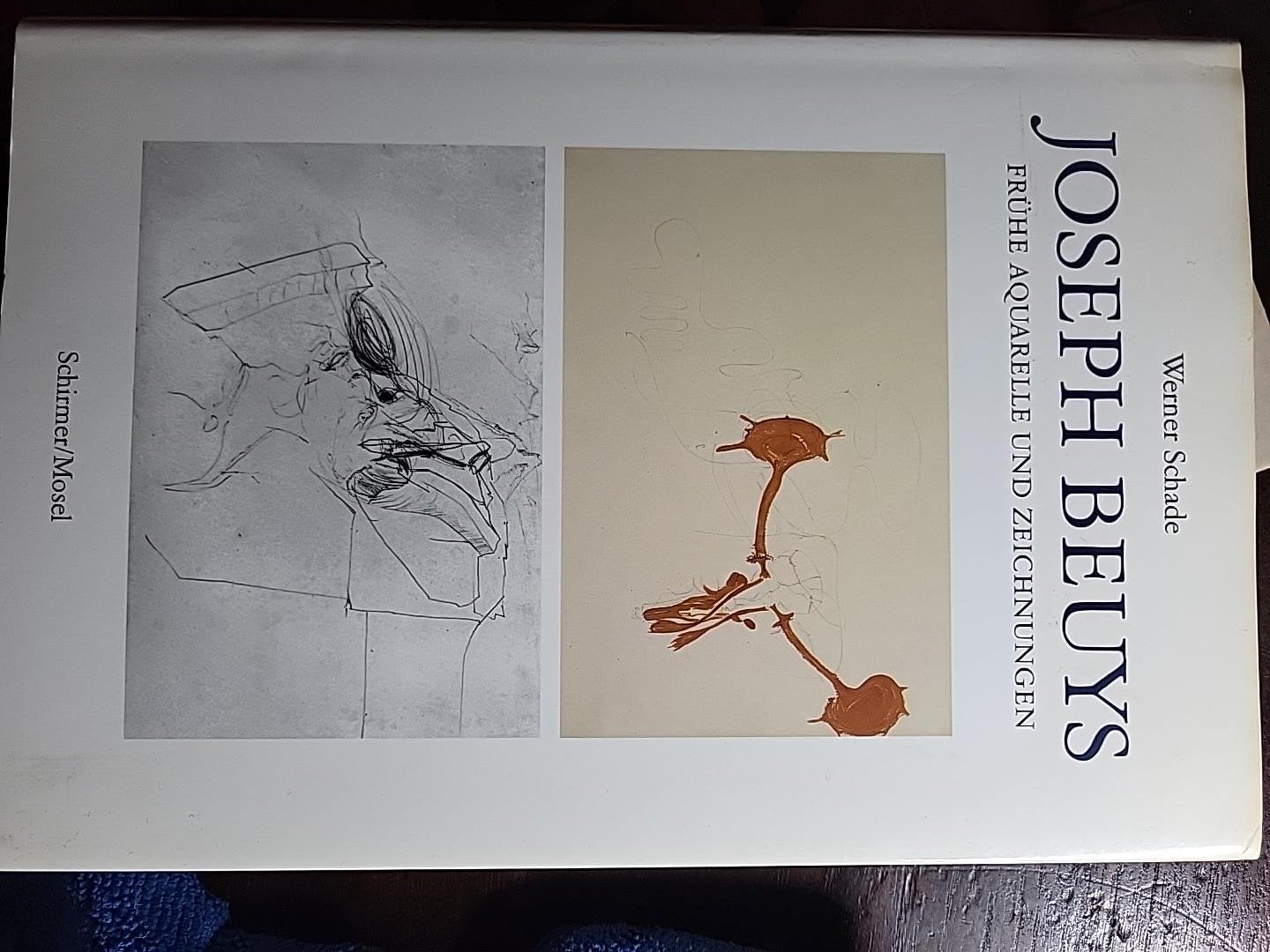 Joseph Beuys Fruhe aquarelle und zeichnungen, Boeken, Werner Schade, Ophalen of Verzenden, Zo goed als nieuw, Schilder- en Tekenkunst