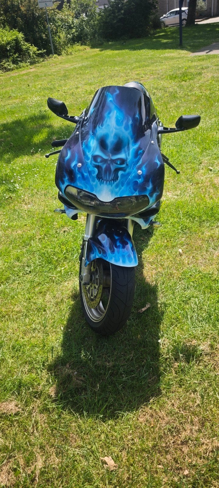 Suzuki TL1000S 1997 met unieke custom paint, 2 cilinders, Sportuitlaat, 996 cc, Gebruikt