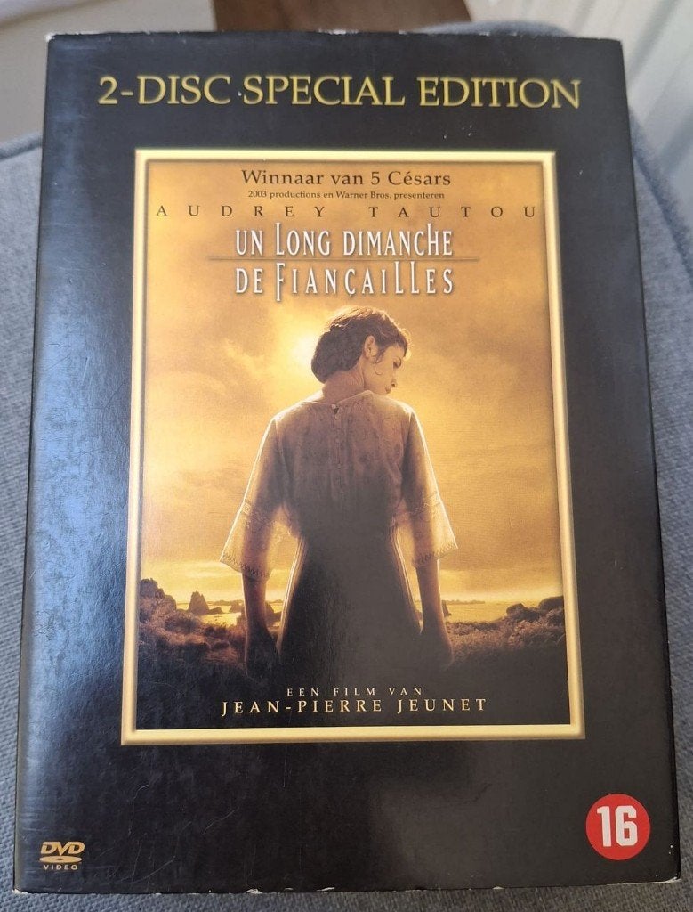 DVD Un long dimanche de fiancailles, Cd's en Dvd's, Vanaf 16 jaar, Ophalen of Verzenden, Zo goed als nieuw, Frankrijk