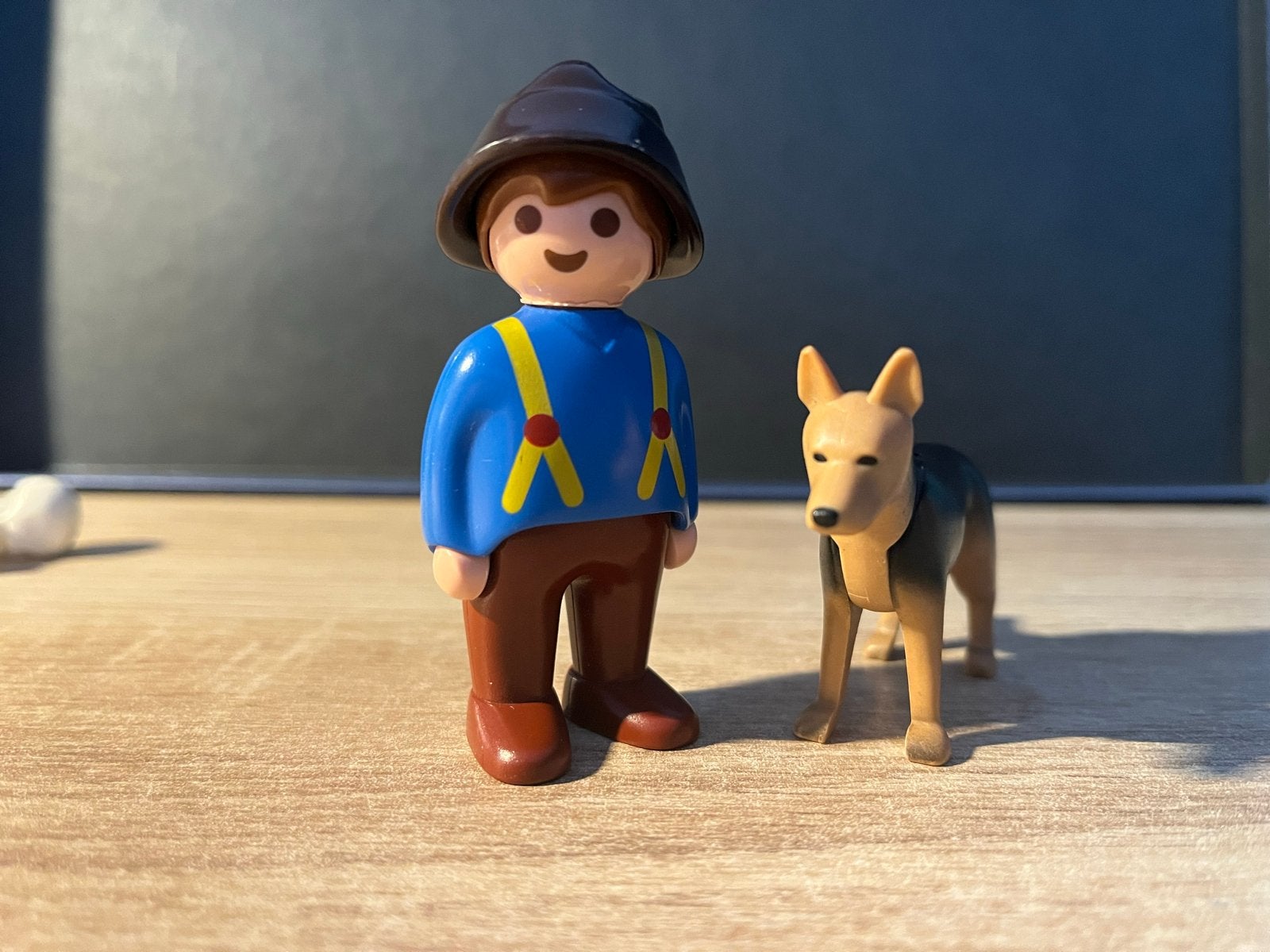 Playmobil figuur met hond - Gebruikt, Kinderen en Baby's, Speelgoed | Playmobil, Ophalen of Verzenden, Gebruikt