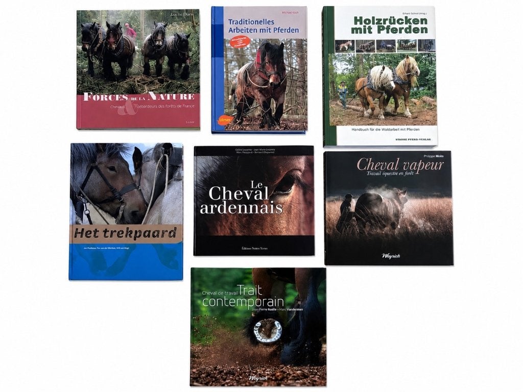 trekpaard, Onbekend, Ophalen of Verzenden, Zo goed als nieuw, Paarden of Pony's
