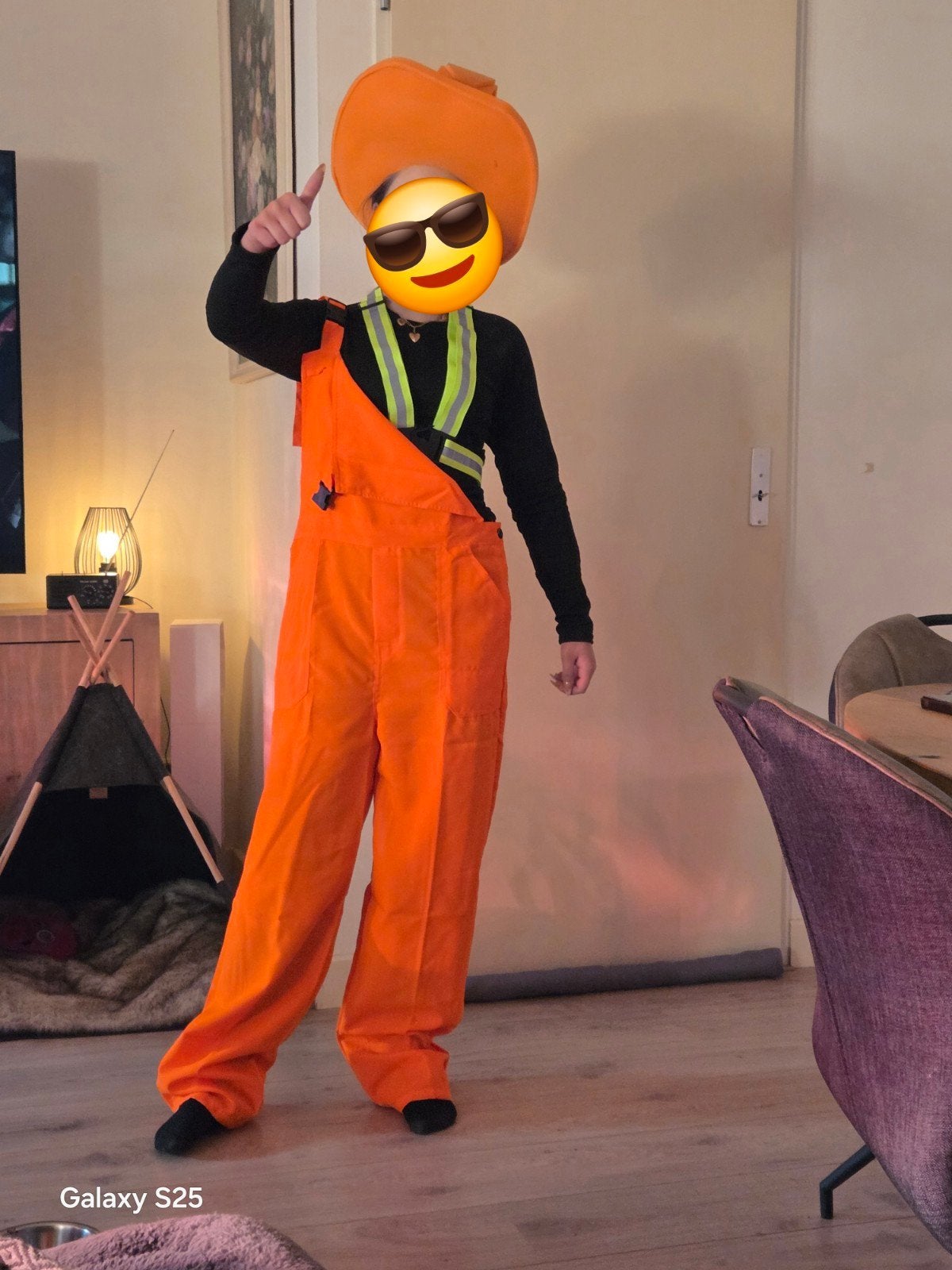 Carnavalskostuums 8 personen kleine carnavalsgroep, Ophalen, Carnaval, Maat 42/44 (L), Zo goed als nieuw
