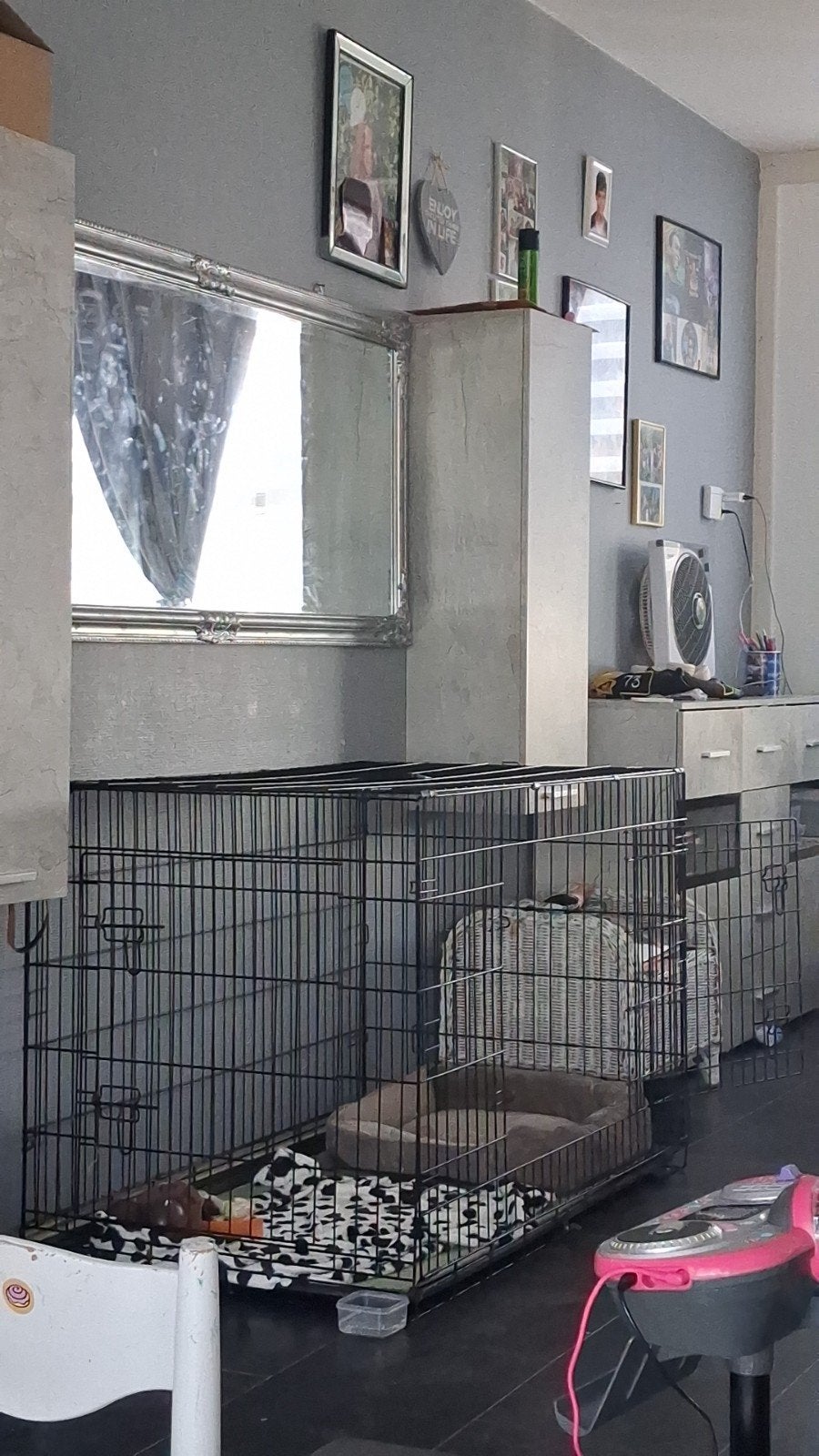 honden bench, Ophalen, Zo goed als nieuw
