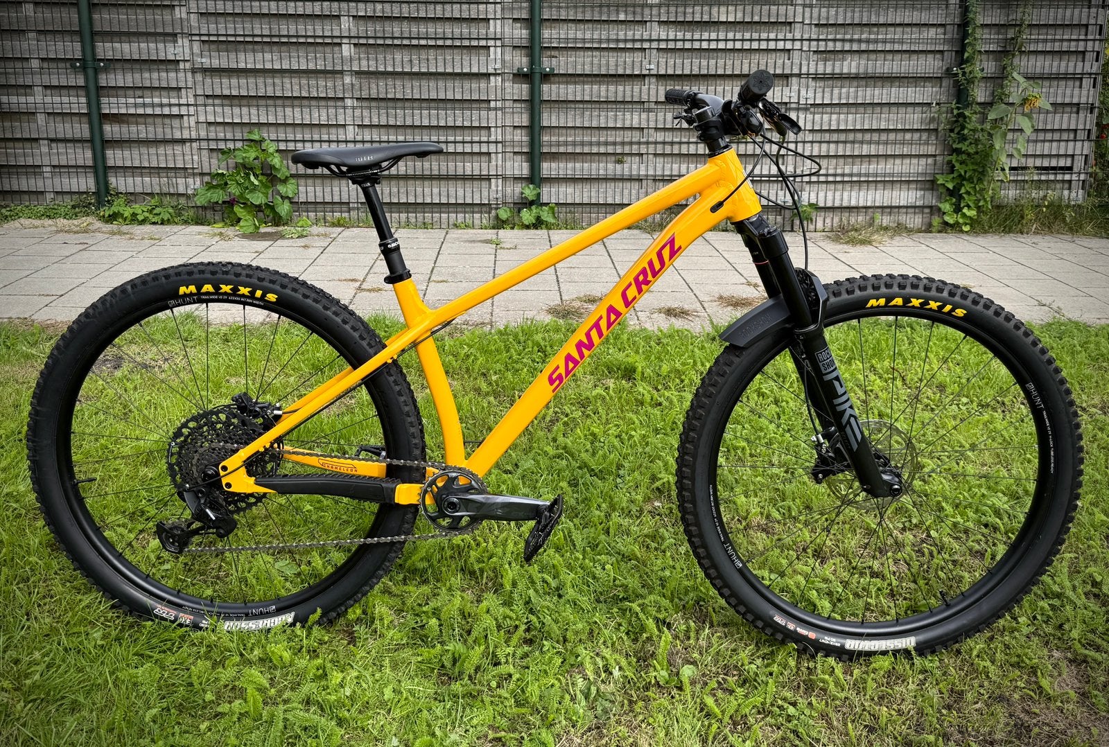 Santa Cruz Chameleon