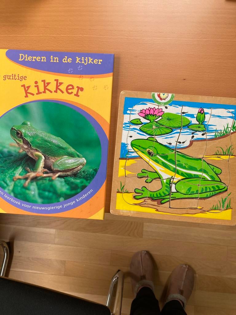 De guitige kikker / puzzel kikker, Ophalen of Verzenden, Zo goed als nieuw