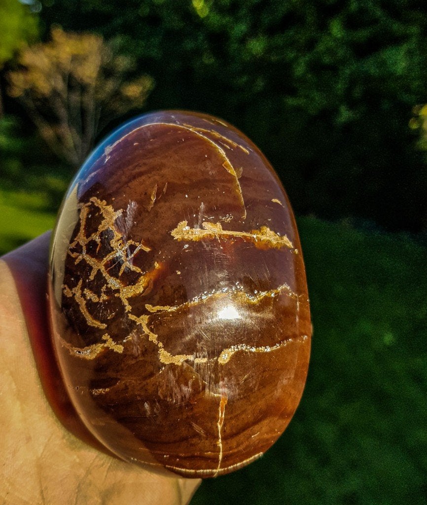 amber uit indonesie, Ophalen of Verzenden, Fossiel
