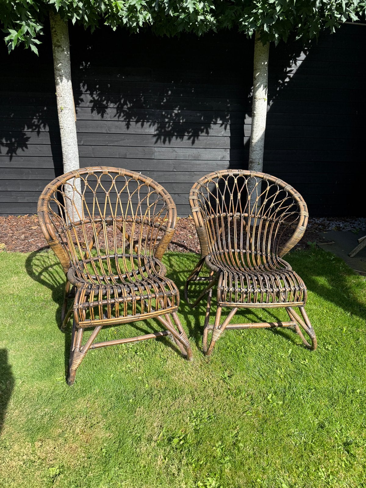 Rieten stoelen, Ophalen, Zo goed als nieuw, Rotan