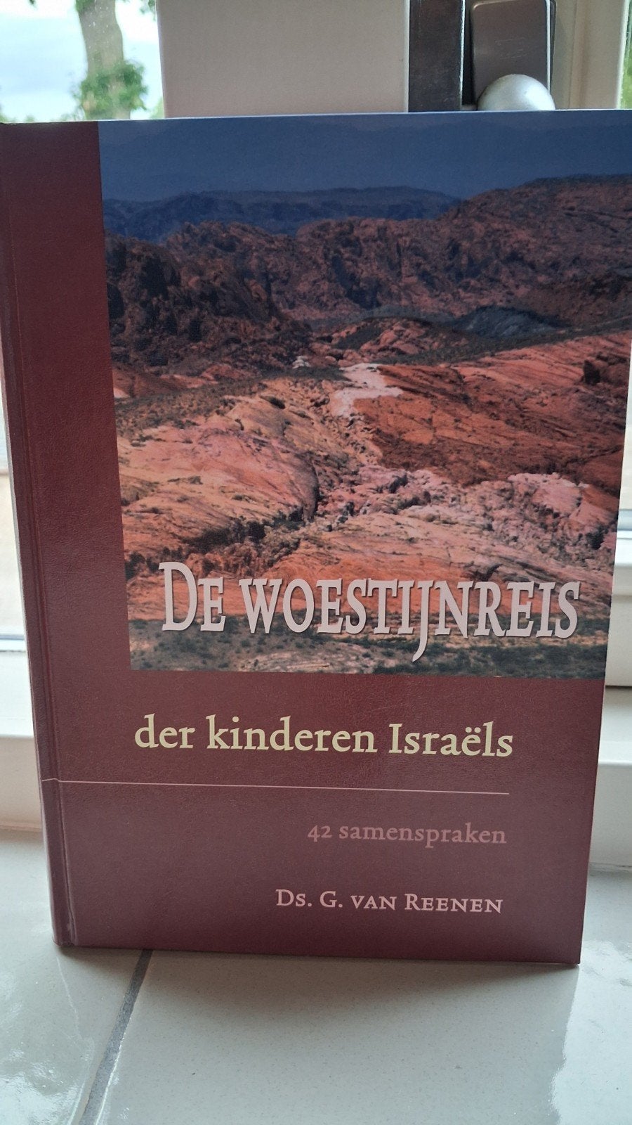 De Woestijnreis der Kinderen Israëls - Ds. G. van Reenen, Ophalen of Verzenden, Zo goed als nieuw, Ds. G. van Reenen, Christendom | Protestants