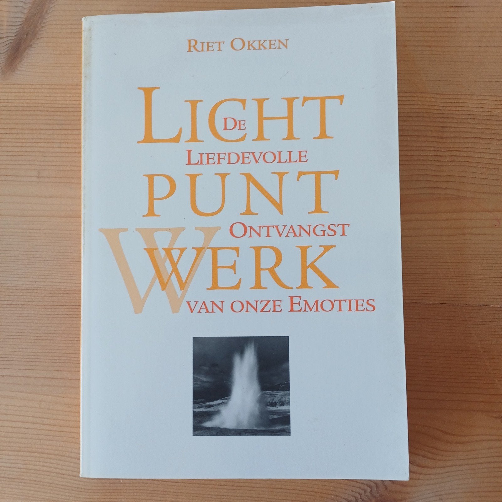 R. Okken - LichtpuntWerk, Ophalen, R. Okken, Ontwikkelingspsychologie, Zo goed als nieuw