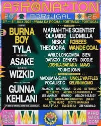 Afronation ticket 2026, Eén persoon, Meerdaags