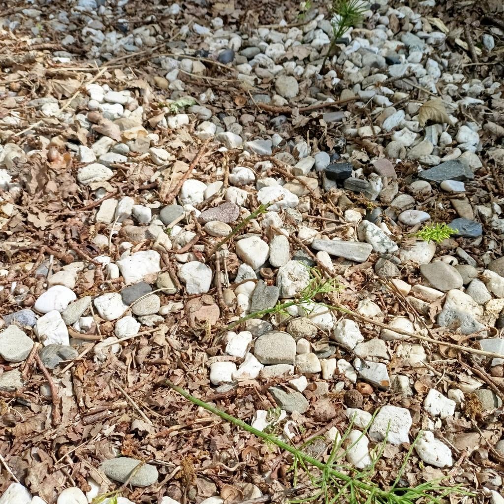 Grind/keien 5m2, Tuin en Terras, Ophalen, Gebruikt