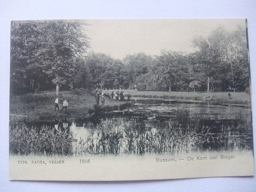 P293 Bussum - Kom van Biegel, Verzenden, Voor 1920, Ongelopen, Noord-Holland