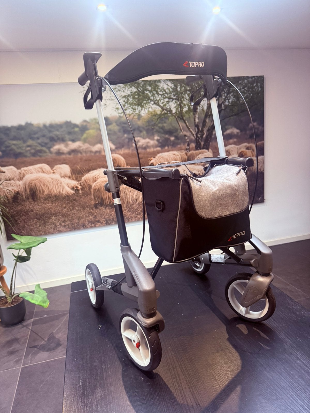 Topro Troja 5G Rollator 2024, Diversen, Ophalen, Lichtgewicht, Gebruikt