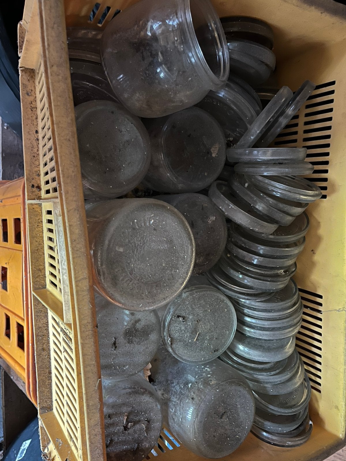 Weckpotten met deksels, Ophalen