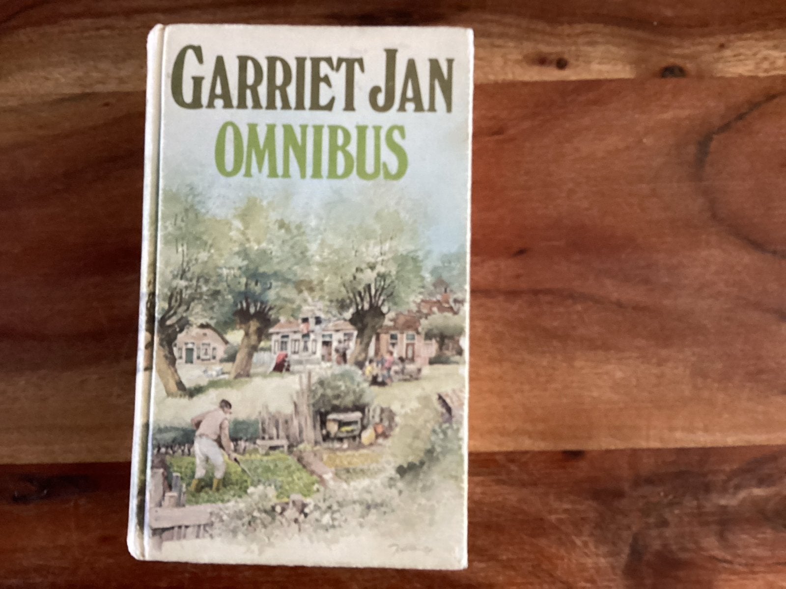 Garriet Jan Omnibus - Gebonden, 397 blz., Verzenden, Gelezen, Nederland