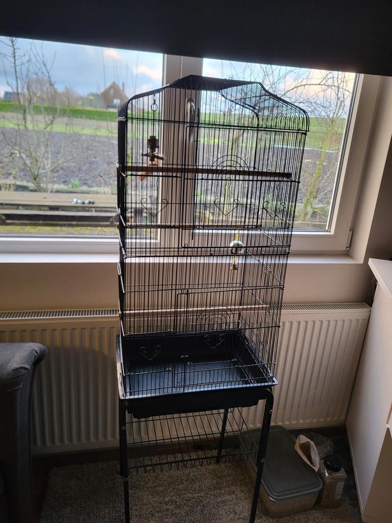 Vogelkooi, Ophalen, Gebruikt, Metaal, Vogelkooi
