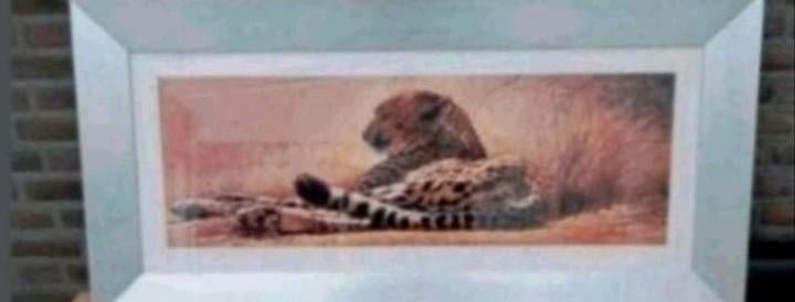 Kunst luipaard/cheetah Renato casaro 130 x 70cm, Antiek en Kunst, Kunst | Schilderijen | Modern, Ophalen
