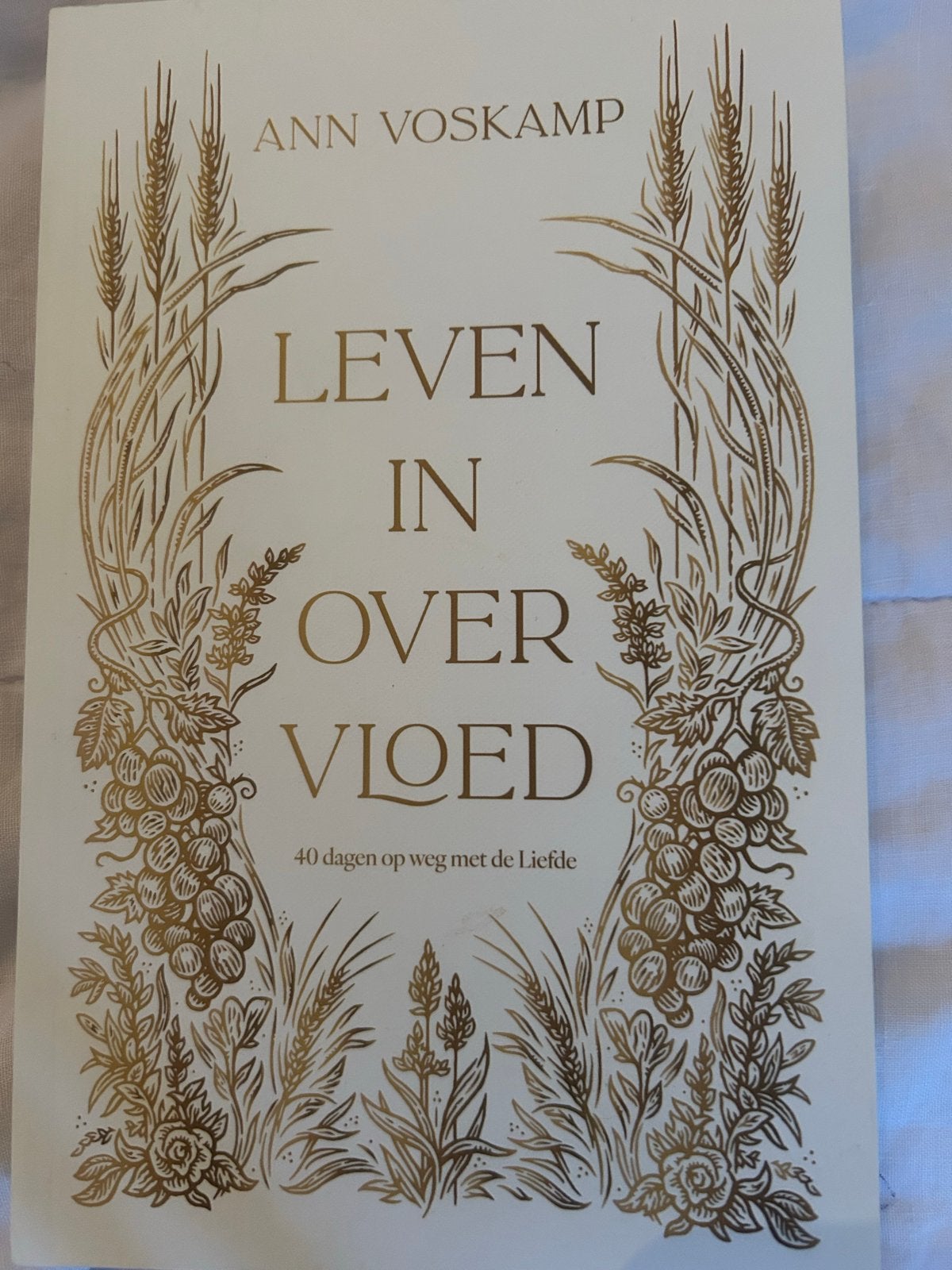 Ann Voskamp - Leven in Overvloed, Ophalen of Verzenden, Zo goed als nieuw, Christendom | Protestants