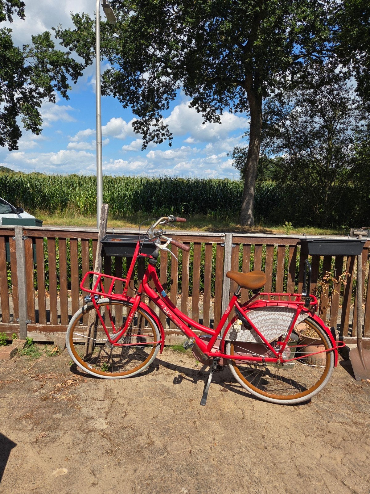 Lief! Cortina fiets - banden moeten nagekeken worden, Terugtraprem, Ophalen, Overige merken, 53 tot 56 cm