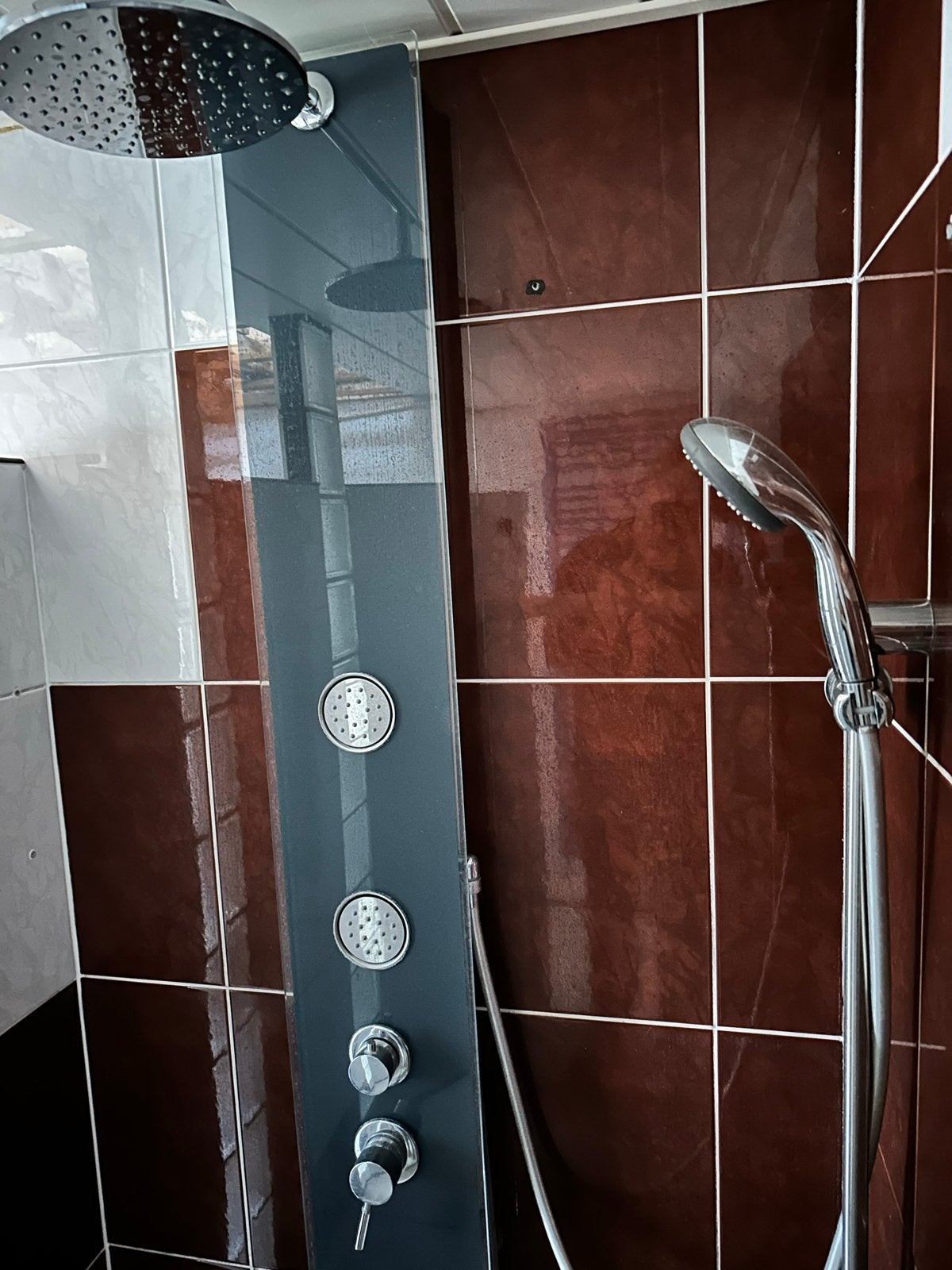 Douchepaneel met regendouche en handdouche, Ophalen, Gebruikt, Chroom, Douche