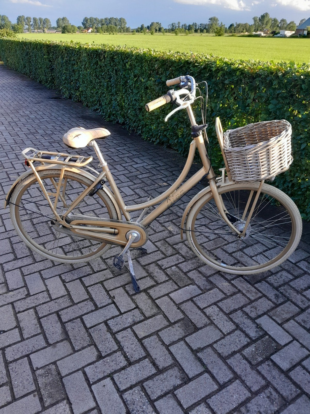Batavus dames fiets., Ophalen, Gebruikt